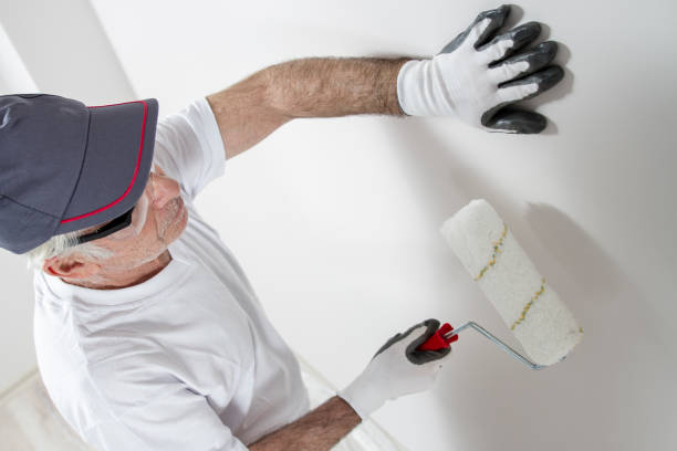 Best Biohazard Mold Removal  in Mountain Village, CO