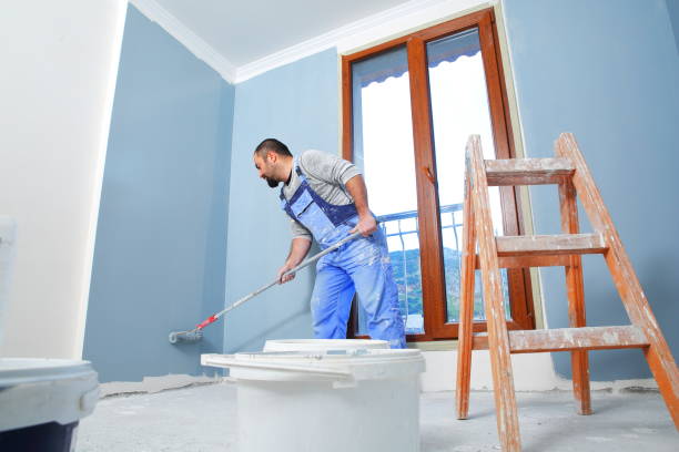 Best Mold Removal for HVAC Installations  in Mountain Village, CO