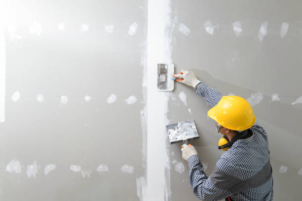 Best Mold Odor Removal Services  in Mountain Village, CO
