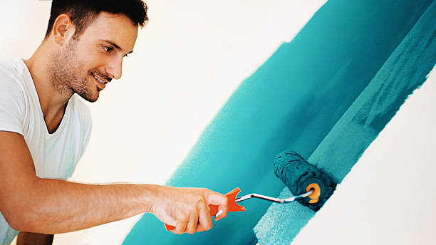 Best Mold Prevention Services  in Mountain Village, CO
